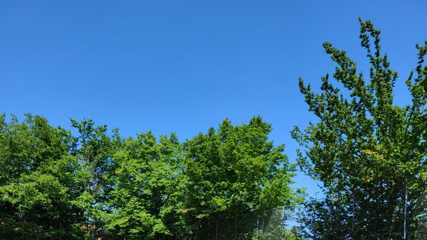 image-578